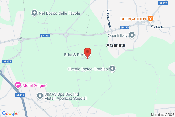 Erba Santo