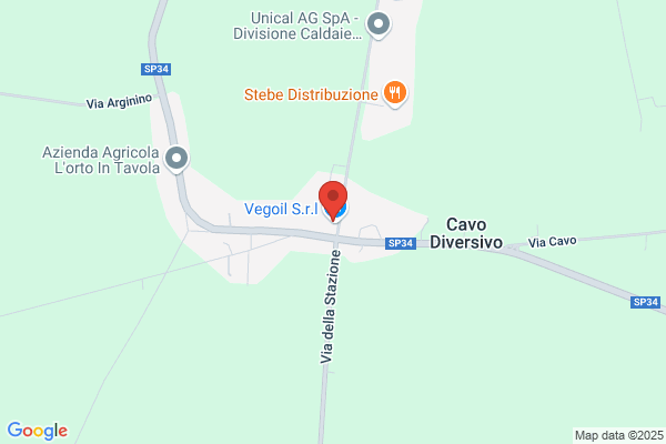 Ve.Ge.Co. Italia Srl