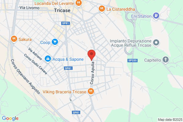 Istituto Professionale Statale