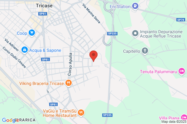 Scuole Pubbliche Liceo Scientifico