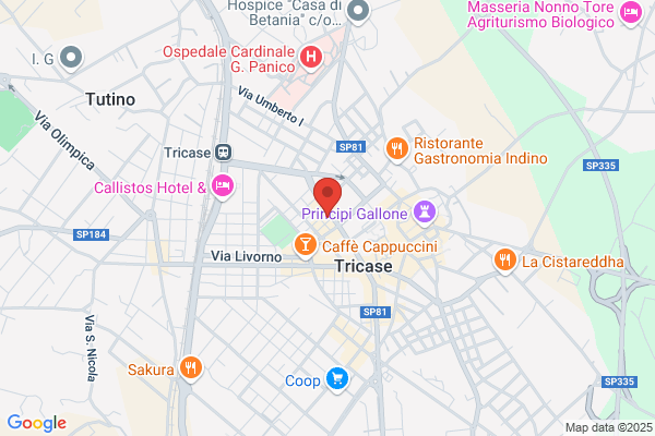 Minonne francesco (Geom.)