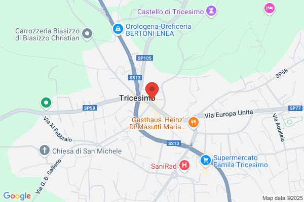 Franceschinis Silvio Ditta