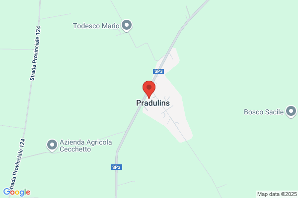 S.A.C.E. Societa Artigiana Costruzioni Edili (S.N.C.)