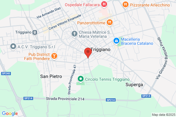 Immobiliare Noicattaro Di Caldarola Giacomo