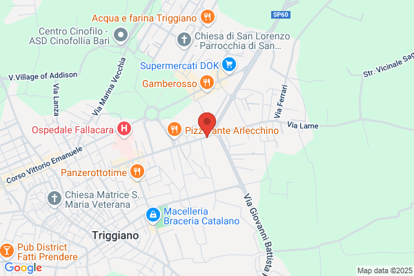 Triggiano francesco