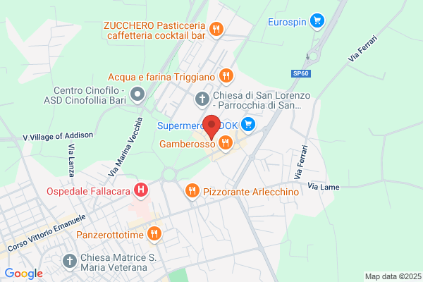Ambulatorio Veterinario Associato Di Paola Giancarlo E romito Patrizia