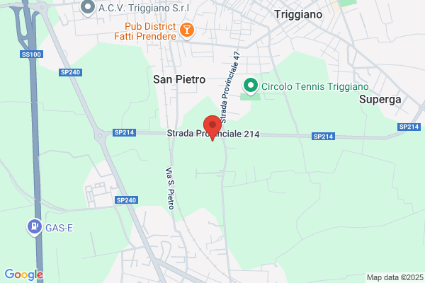 Favia Domenico