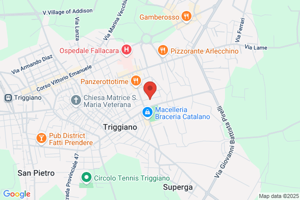 Losurdo nicola