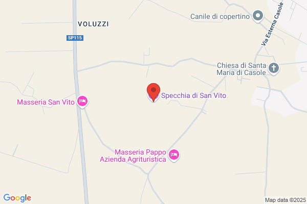 Specchia vito