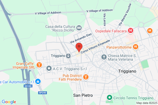 Tortella antonio