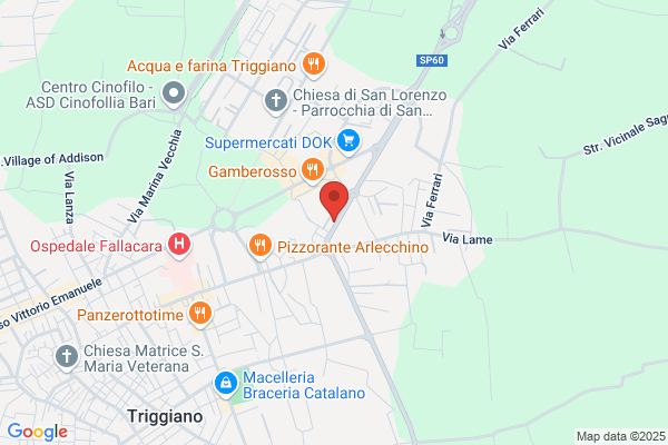 Italiana Servizi Postali