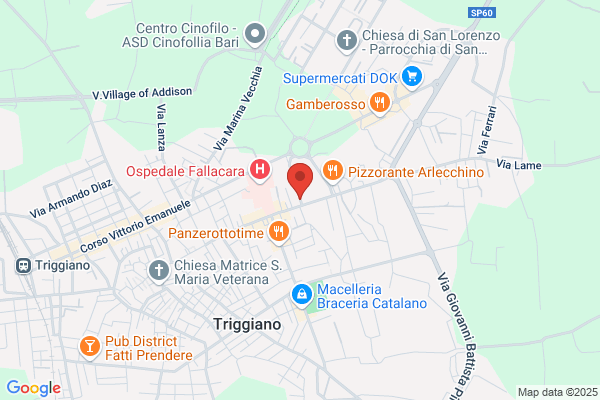Supermarket Ottolino