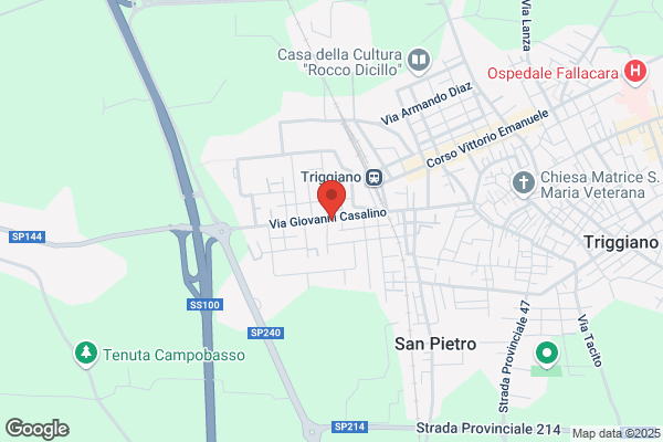 Ist. Vig. Citta Di Triggiano Di Palumbo giuseppe