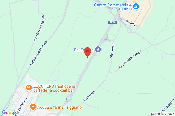 Istituto Di Vigilanza Cittadi Triggiano Palumbo G.Ppe