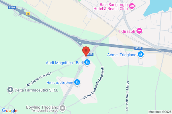 Istituto Vigilanza Citta Di Triggiano