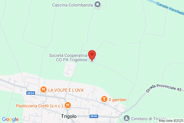 Manzone Spadari paola