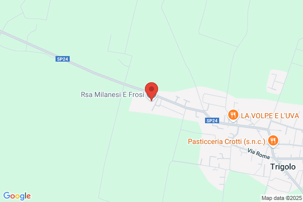 Opera Pia Ricovero Cronici Luigina Milanese E Paolo frosi