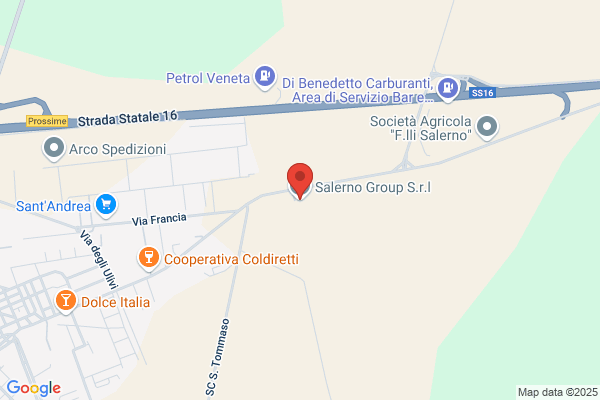 Salerno Group Societa' a Responsabilita' Limitata