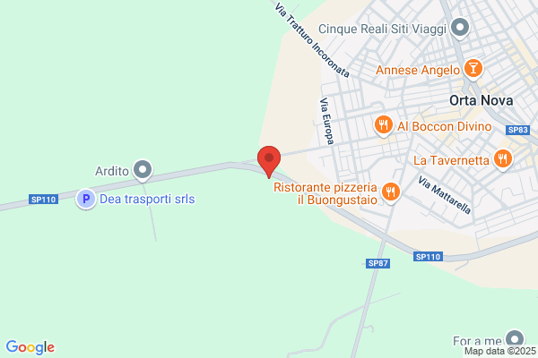 Ortodelizia Srl