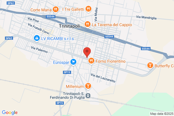 Ervi Viaggi di Minervino Vito Pio