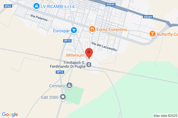 Millennium Di Davanzo Severino