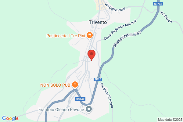 Marzini mario