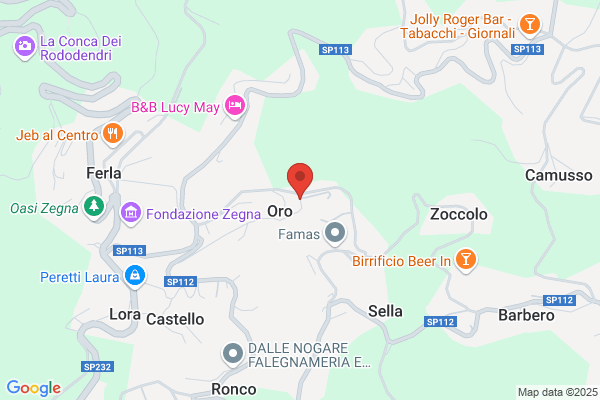 BLINDOSERR ASSISTENZA CASSEFORTI SBLOCCO E APERTURA