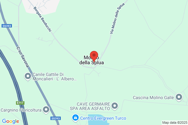 Salino roberto