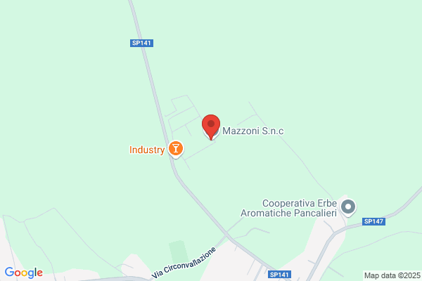 Mazzoni S.N.C.
