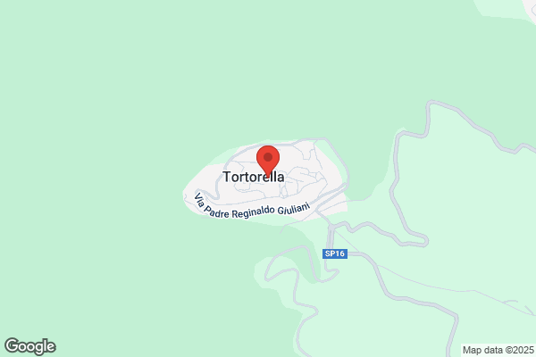 Tortorella nicola