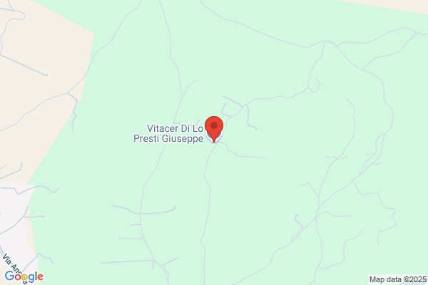 Vitacer Di Lo Presti Giuseppe