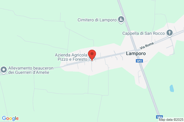 Foresto Laura (Rag.)