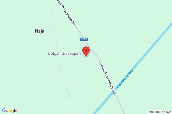 Gallina Angelo (Rag.)