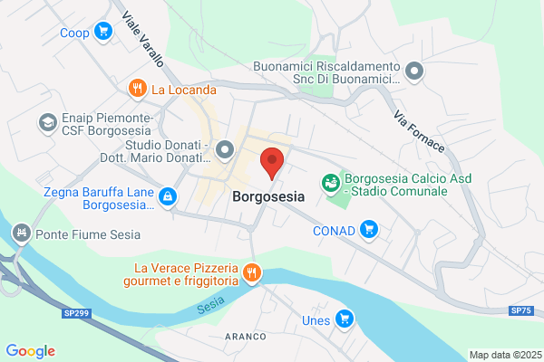 Il Fiorellino Snc Di Laura Foresto E c.