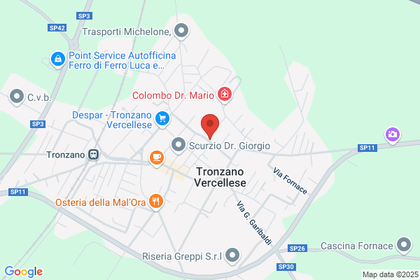 Studio Tecnico Associato Borro