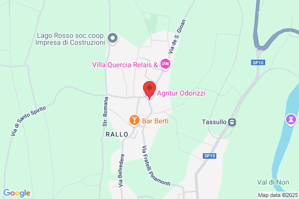 Odorizzi leonardo