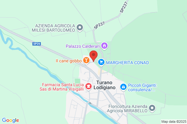 Insieme Snc Di Terenzi V. E Livraghi f.