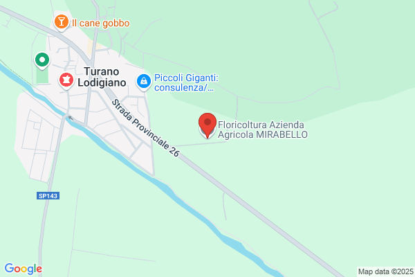 Mantovani Fratelli