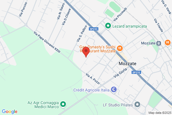 I.E.S.A. Impianti Di Silvestri Angelo