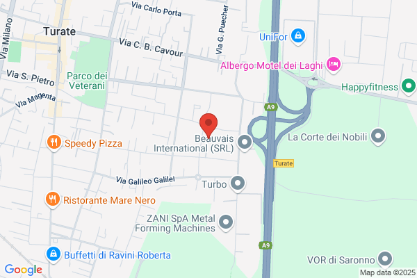 Turconi paola