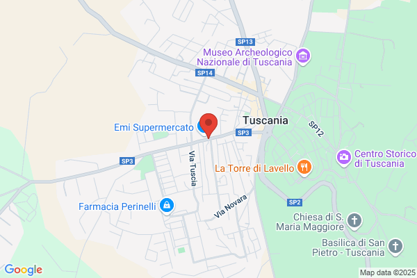 Falaschi Anna Amita