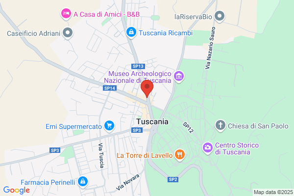 Porta Major Di Piantamore Giorgio