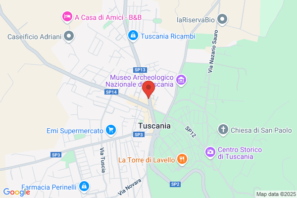 Tosi sandro
