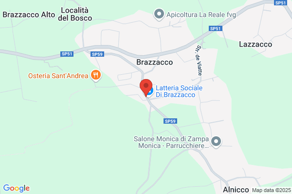 Montegnacco bruno (Arch.)