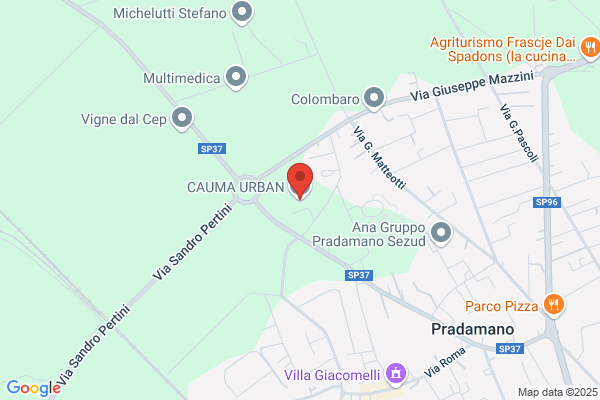 Pizzoni carlo