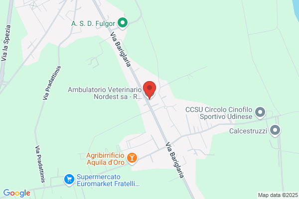 Ambulatorio Veterinario Angelini & Moreale