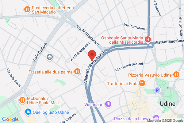 CGIL Confederazione Generale Italiana del Lavoro   Camera del Lavoro Udine