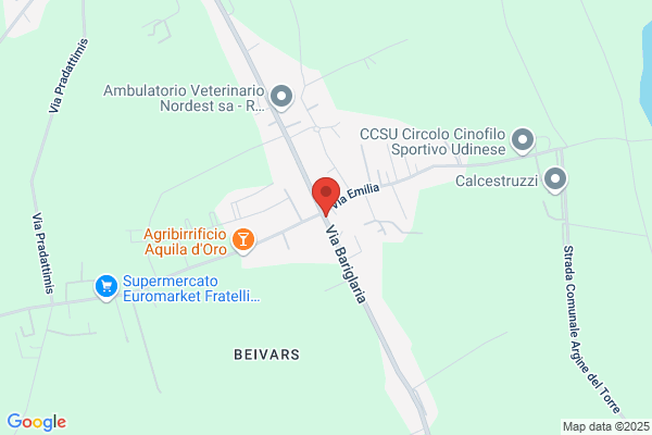 Vazzoler redento (Dr.)