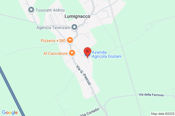 Giuliani Leonardo (Dr.)