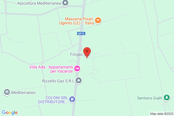 Forgas